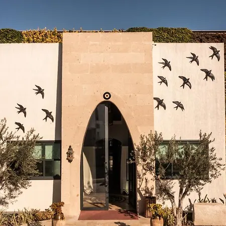 Kocadon * Αλικαρνασσός