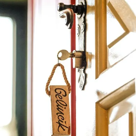 Kocadon Αλικαρνασσός