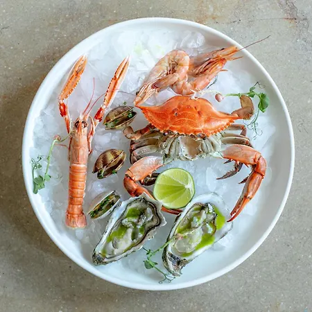 Kocadon Ξενοδοχείο *