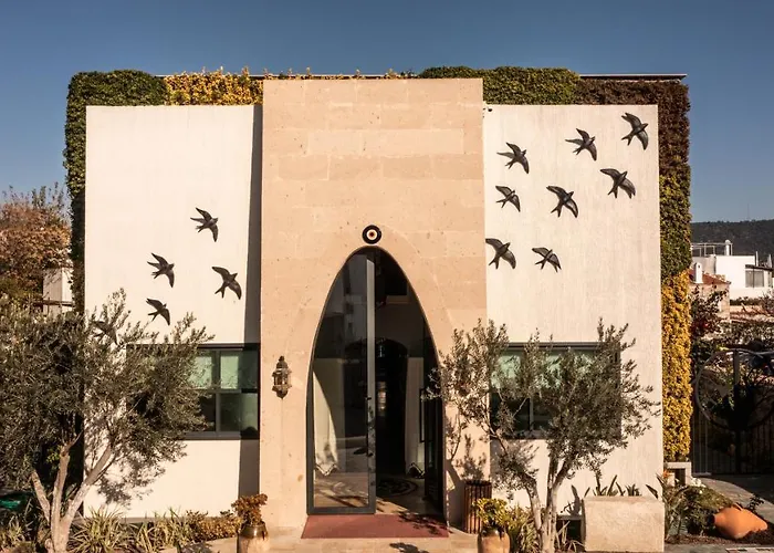 Kocadon * 博德鲁姆