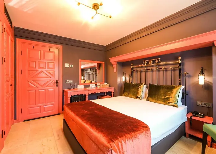 Kocadon 博德鲁姆