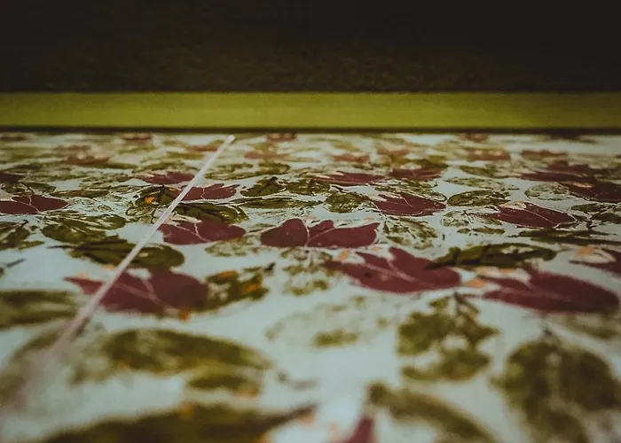 Kocadon 博德鲁姆