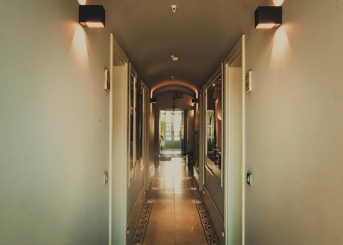 Kocadon 博德鲁姆