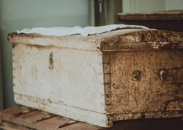 Kocadon 博德鲁姆