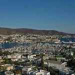 Kocadon