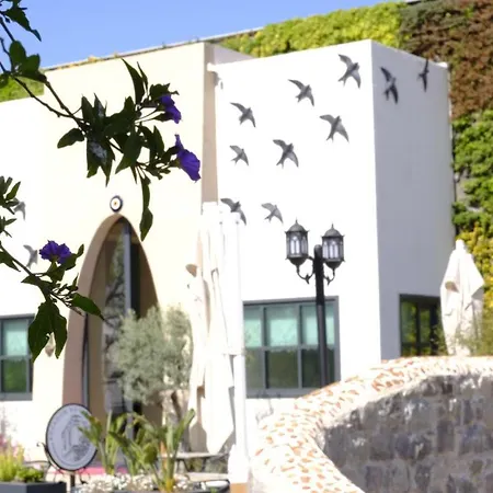 Kocadon Museum Bodrum